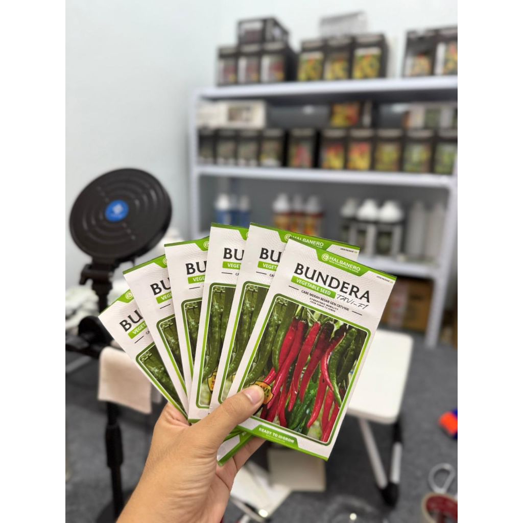 Benih Unggul Cabai Merah Besar BUNDERA TAVI F1 Original Halbanero Isi 1600 Biji