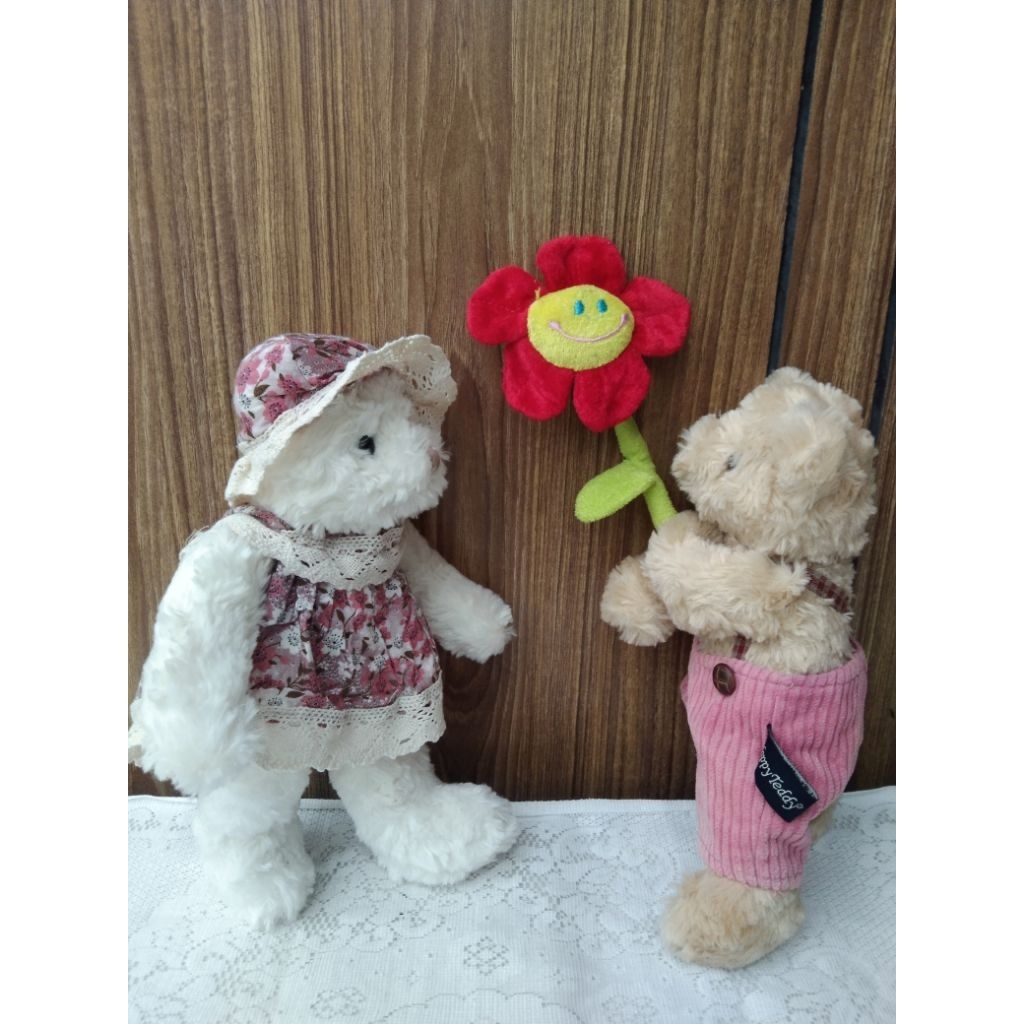 boneka teddy house couple