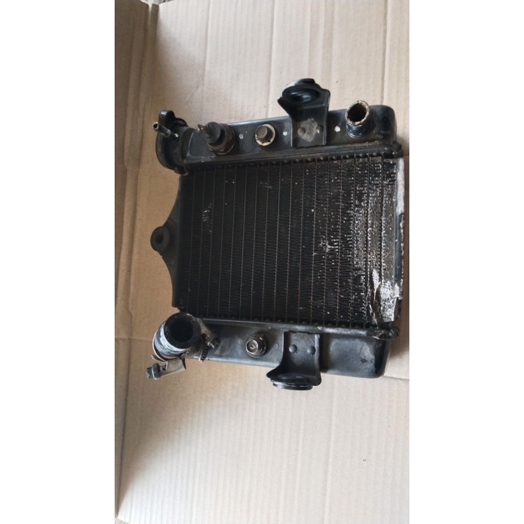 radiator motor CS1 original