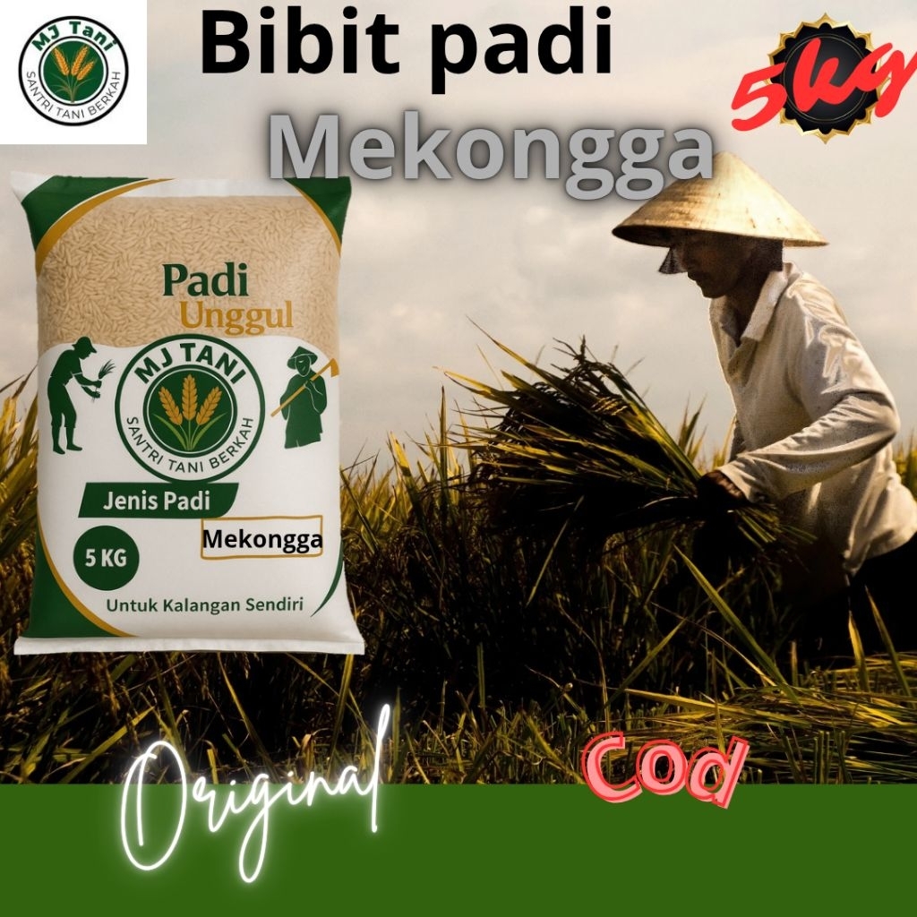 bibit padi premium MEKONGGA 5KG
