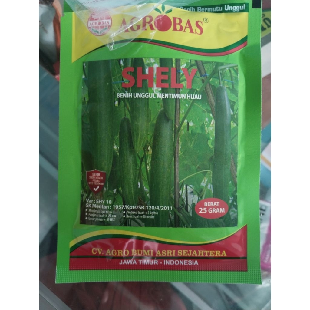 Benih timun shely Agrobas
