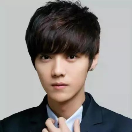 Wig Pria 100% Rambut Asli Manusia LL01 (VHJKT)
