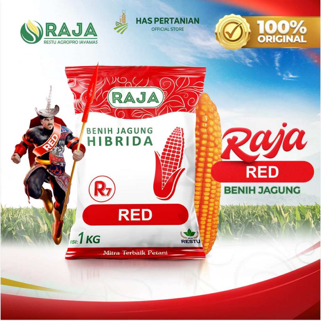 Benih Jagung Raja R7 Red - 1 Kg