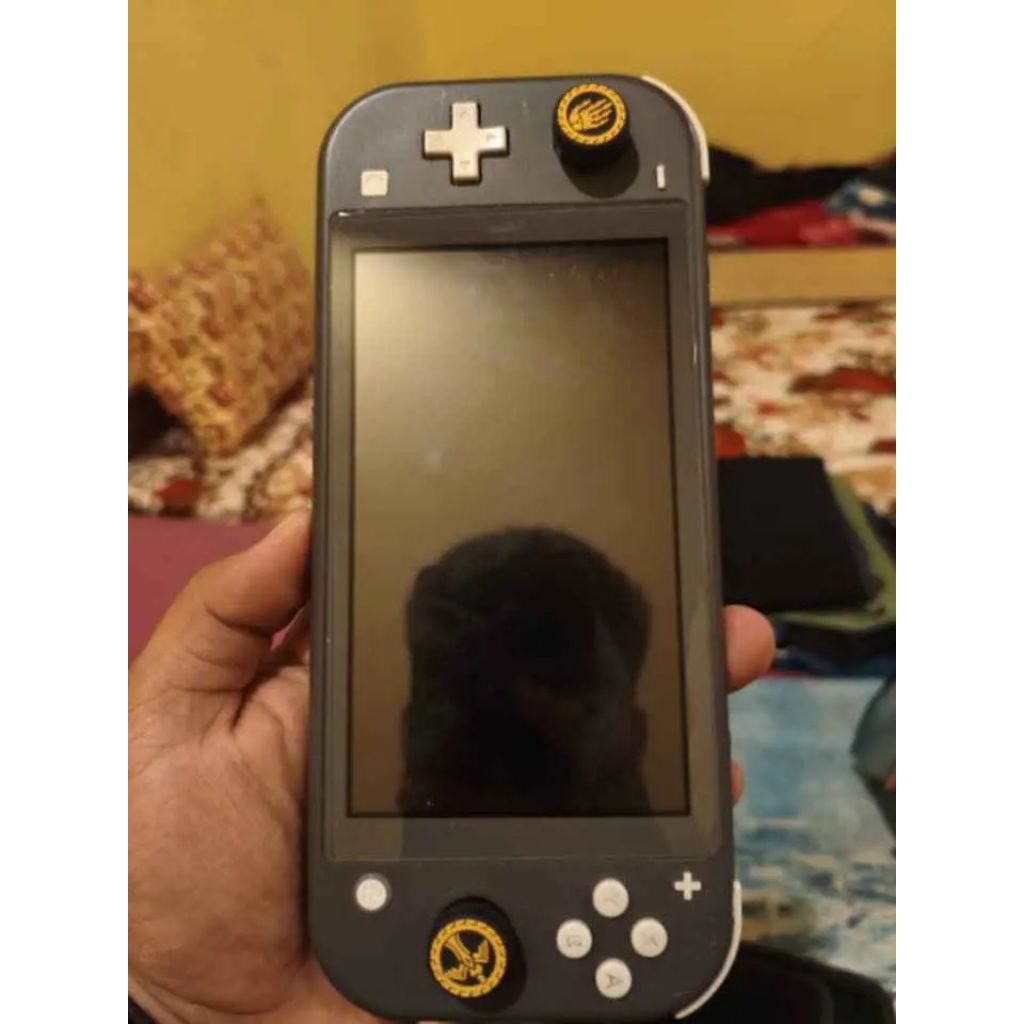 Nintendo Switch Lite Ofw (Second)