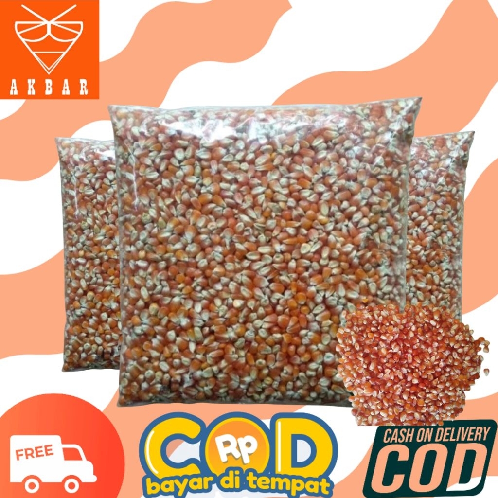 JAGUNG MADURA 1KG untuk merpati burung dara dan ternak