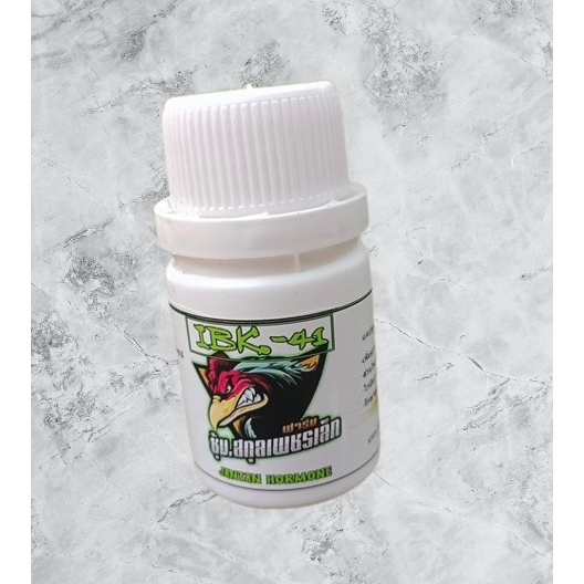 30 kapsul ibk41 thai obat hormon pejantan. obat ayam rajin kawin . obat ayam tidak mau kawin . obat 