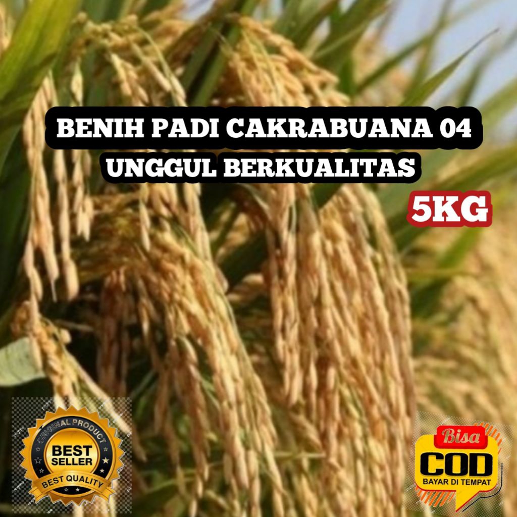BENIH PADI UNGGUL CAKRABUANA 04 KEMASAN 5KG