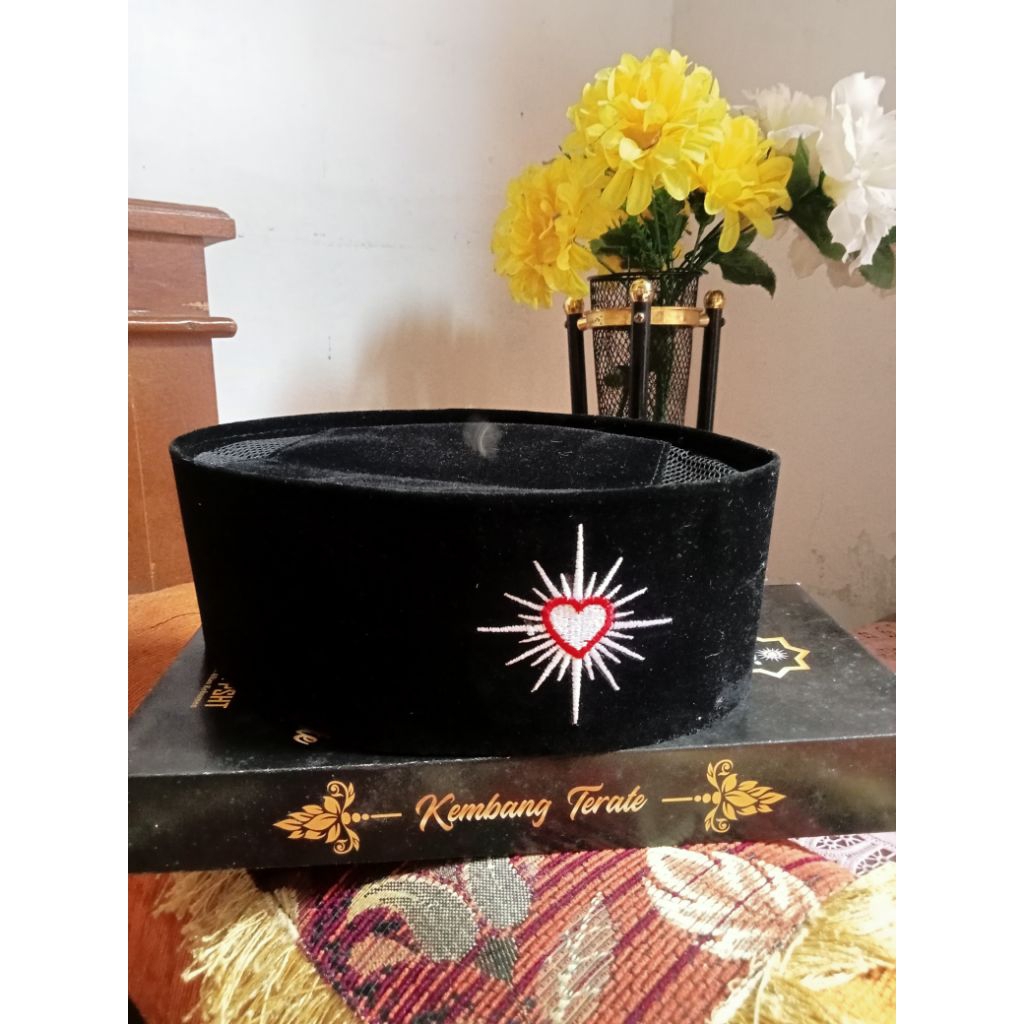 PECI LOGO PSHT HATI BERSINAR