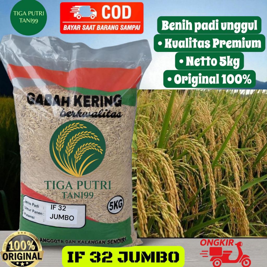 Benih Padi Inpari 32 Jumbo 5kg Bibit Unggul Asli berkualitas tinggi