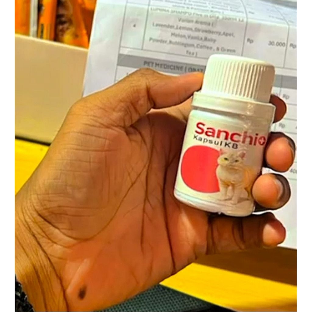 sanchio suplemen kb untuk kucing