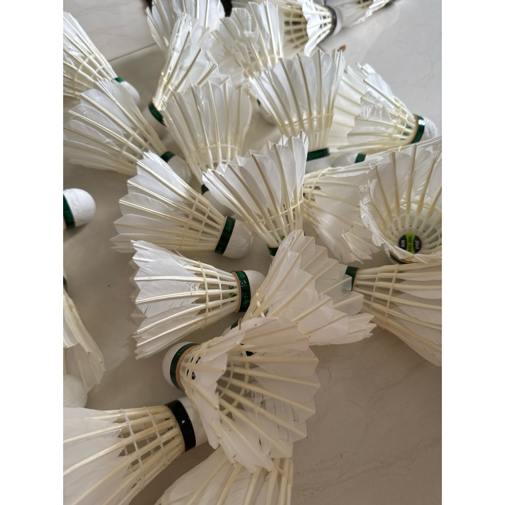 indo cock bekas 3 in 1