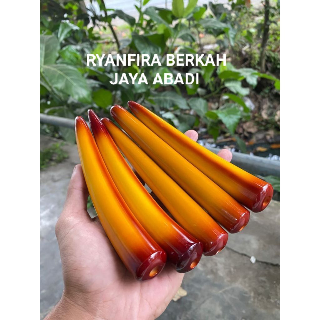 Termurah once SriGG Lawasan Bulet lengkung