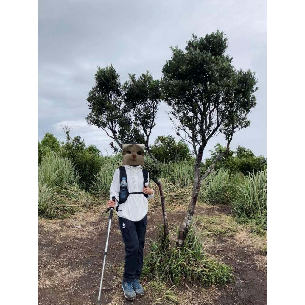 Celana Gunung Bogaboo dan Jaket Parasit Uniqlo