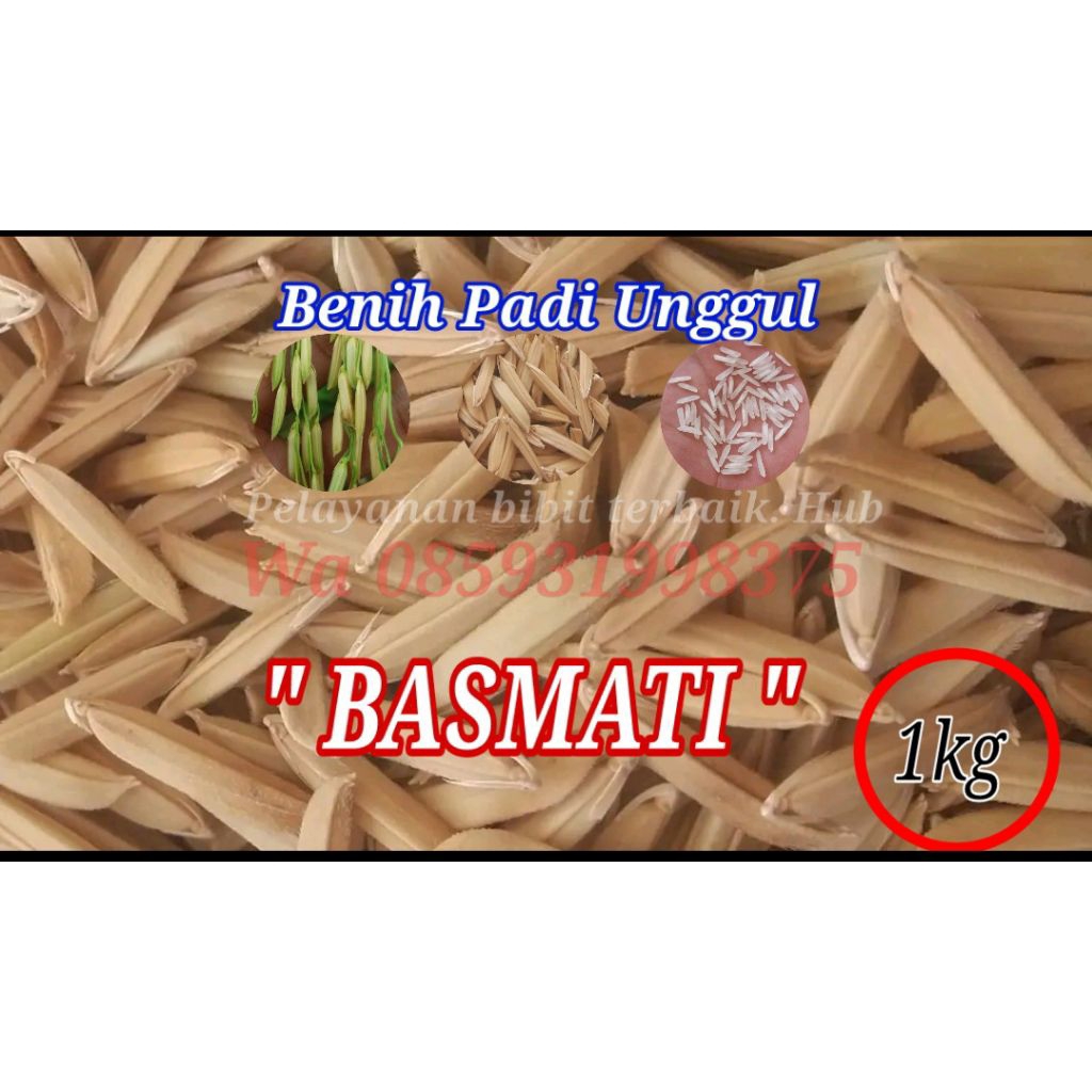 Benih bibit padi basmati unggul kemasan 1kg