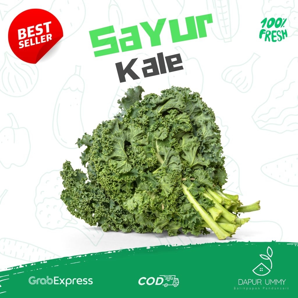 KALE • Sayur Kale • Kubis keriting Perpack