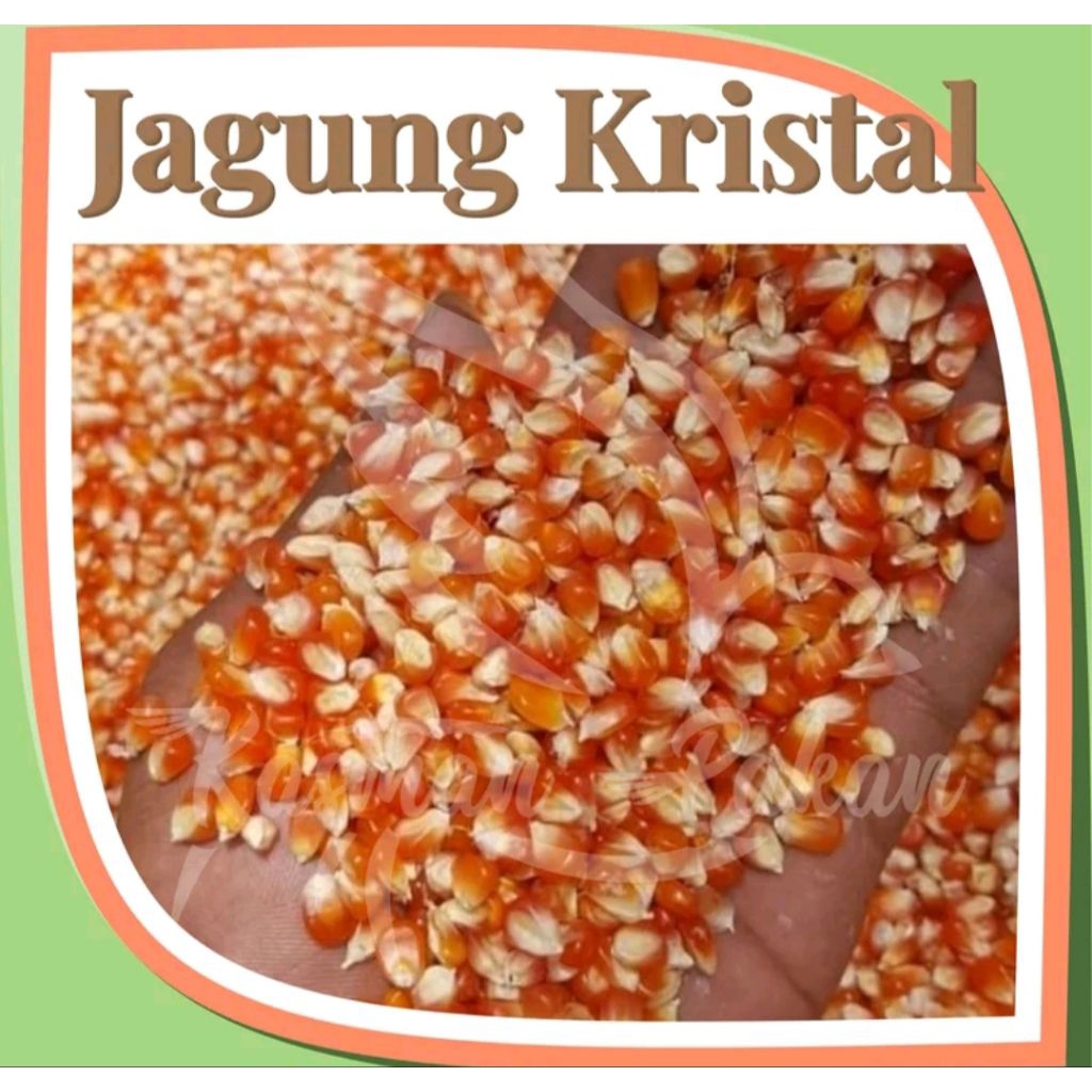 jagung kristal jagung kecil 500g