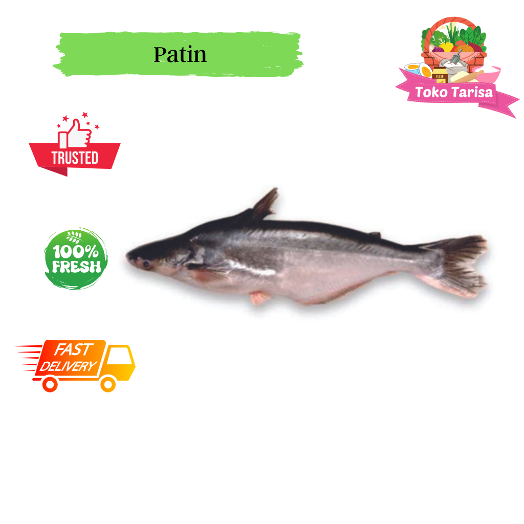 Ikan Patin 1 Ekor
