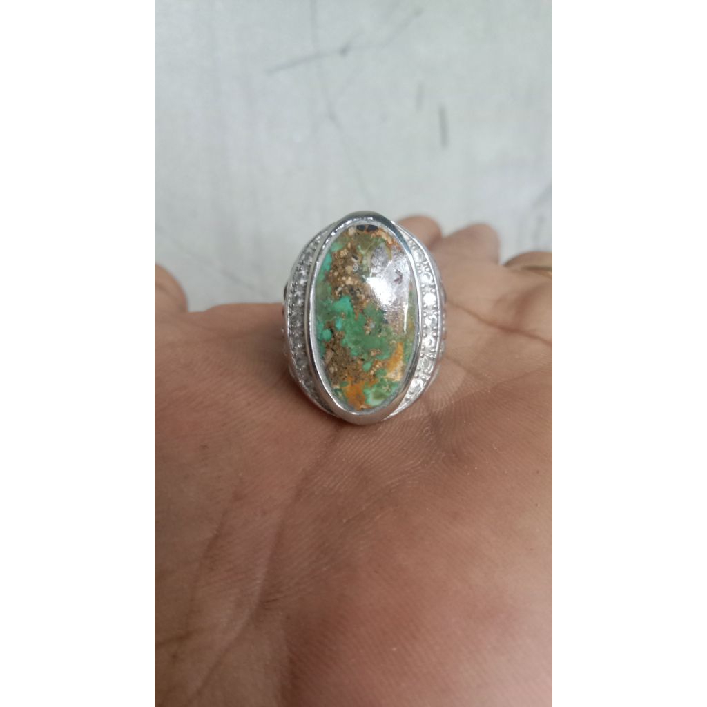 pirus persia ijo gradasi
