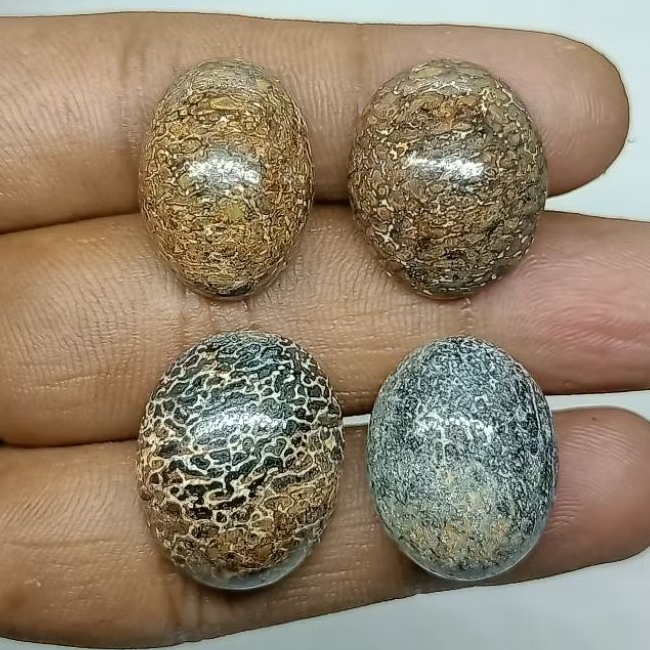 Original Batu Anti Wisa , Natural Cirebon