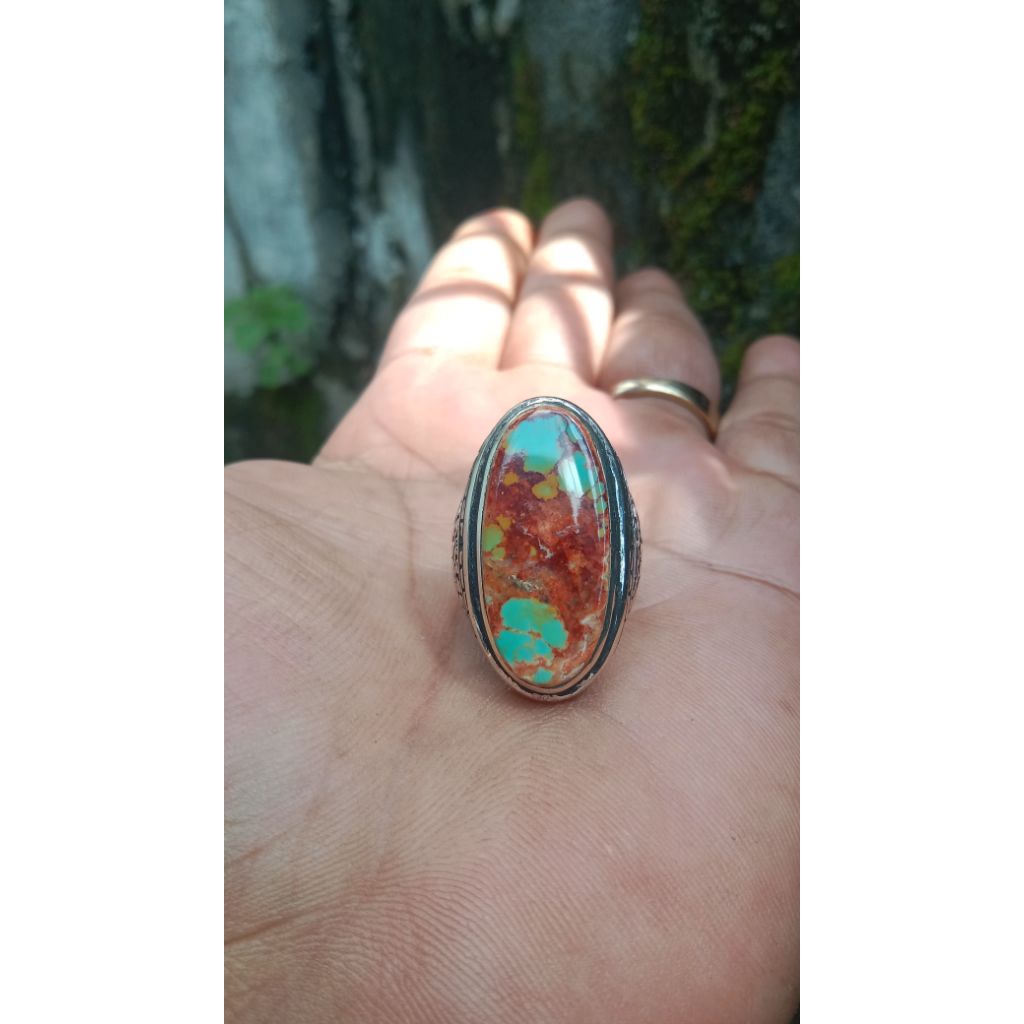 pirus persia ceplok kuro