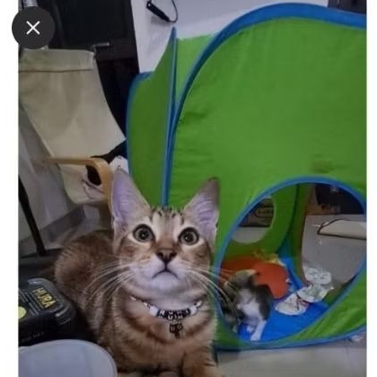 Ikea BUSA Tenda Anak Preloved