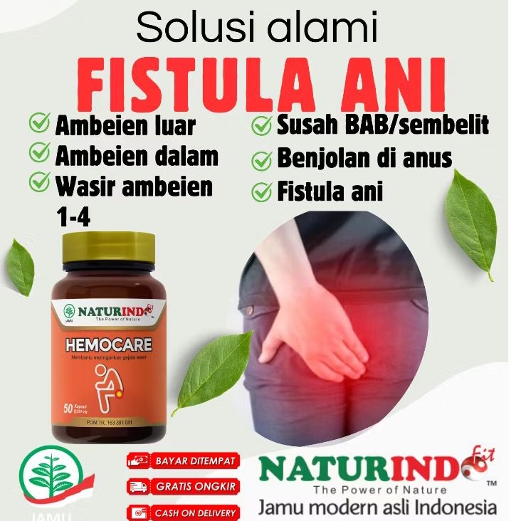 Obat Fistula Ani Herbal Ampuh Anus Berlubang Bernanah Nyeri Visura Ani