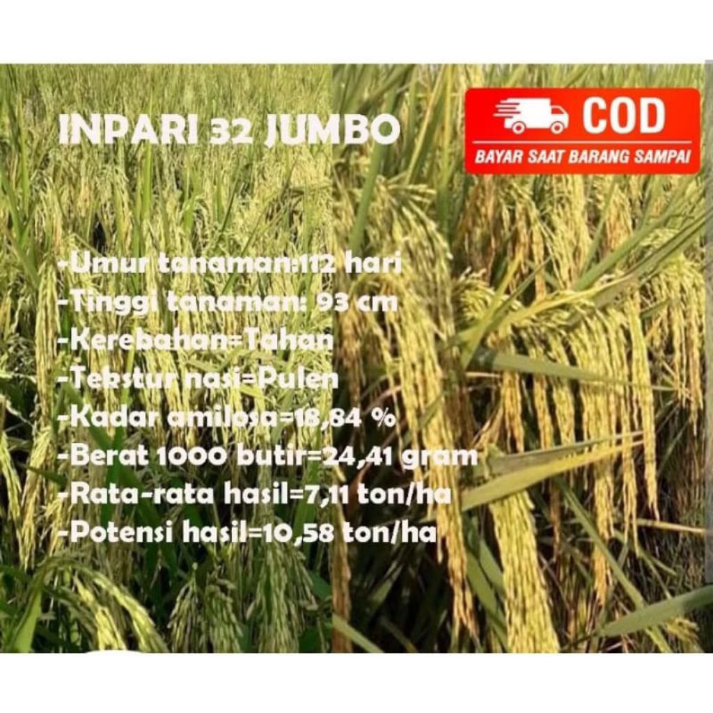 benih padi inpari32 jumbo kemasan 1kg