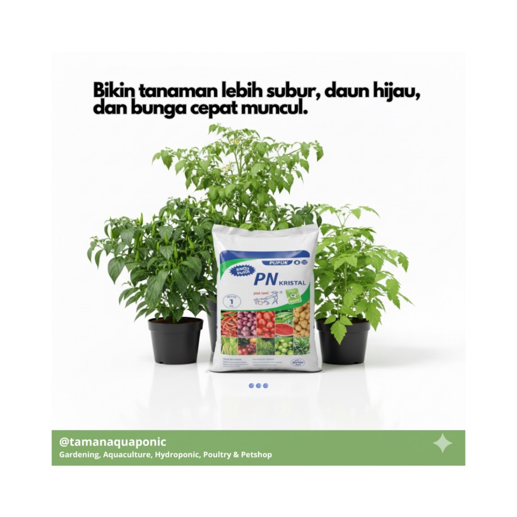 Pupuk KNO3 Putih PN KRISTAL Pak Tani 1 kg Original Pack