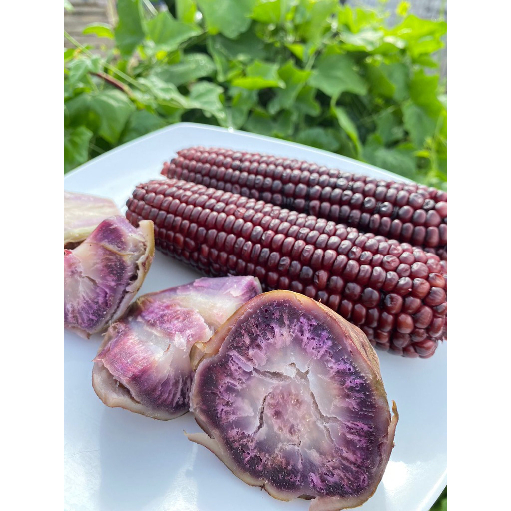 Ubi Samarinda Grade A 1 Kg