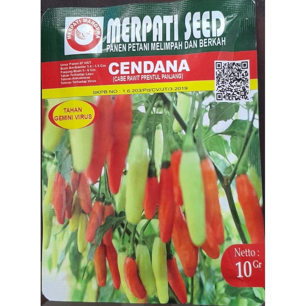 Benih Cabe Rawit Putih CENDANA & JENAR Tahan Virus 10 gr +- 2500 biji