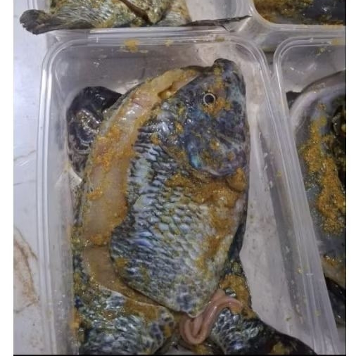 Ikan Mujair Bumbu Kuning isi 2 pcs, Frozen, Siap Masak