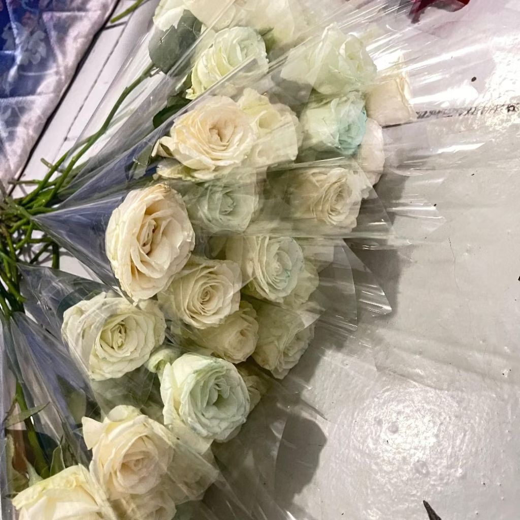 KIRIM INSTAN ❗️❗️❗️Bunga Mawar Putih Satuan. Buket bunga asli fresh flowers milenial florist for gra