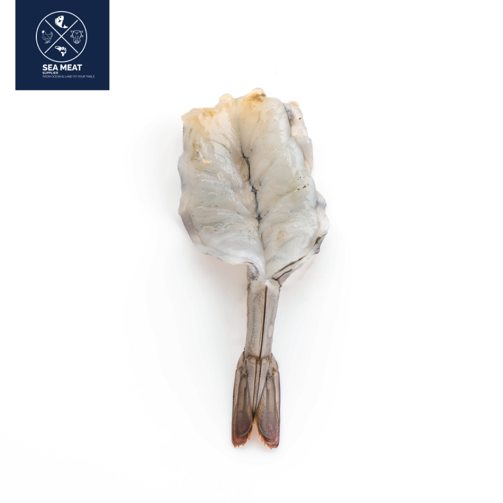 UDANG KUPAS | UDANG TEMPURA | UDANG SUSHI | NOBASHI PRAWN | FRESH FROZEN