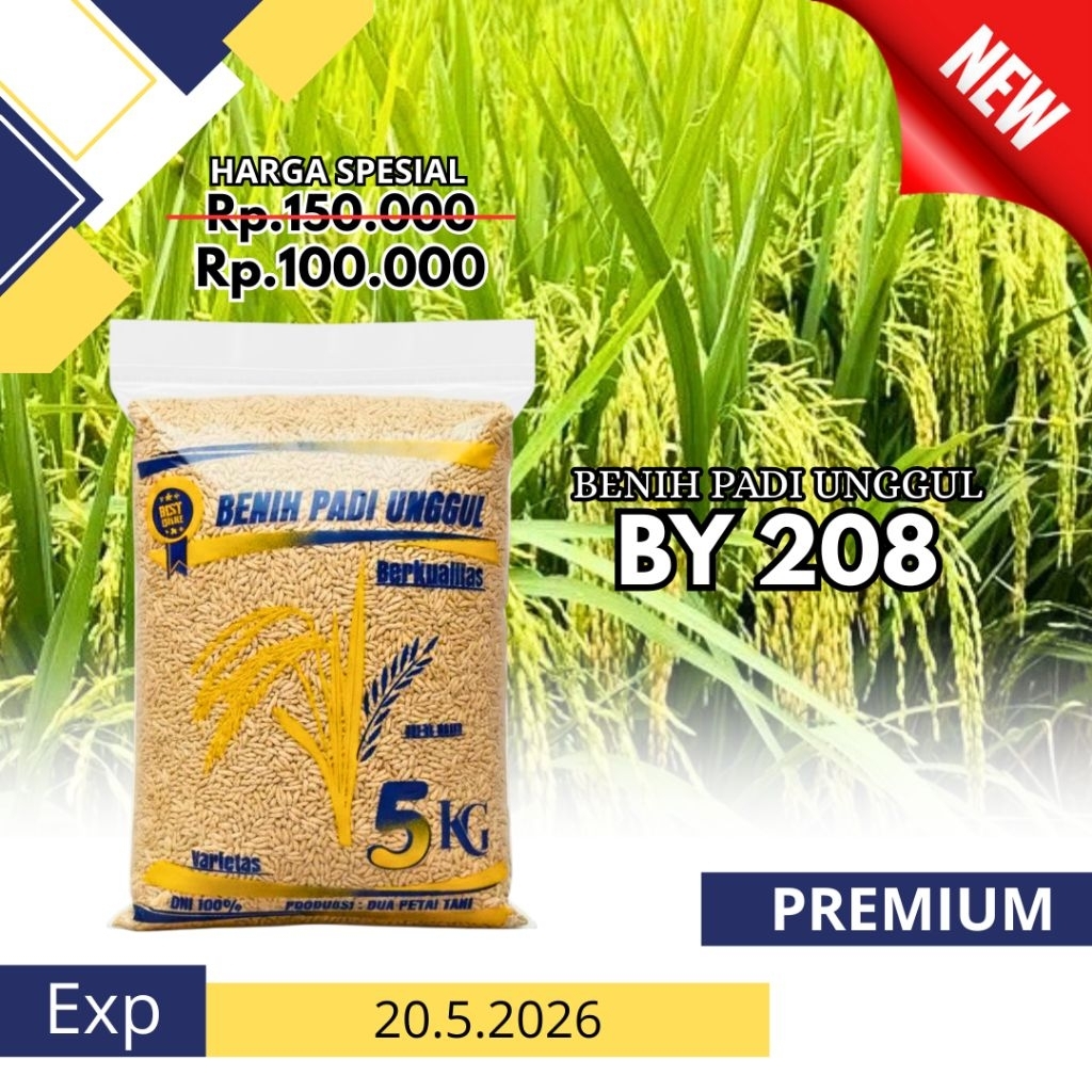 Benih padi BY 208 5kg original