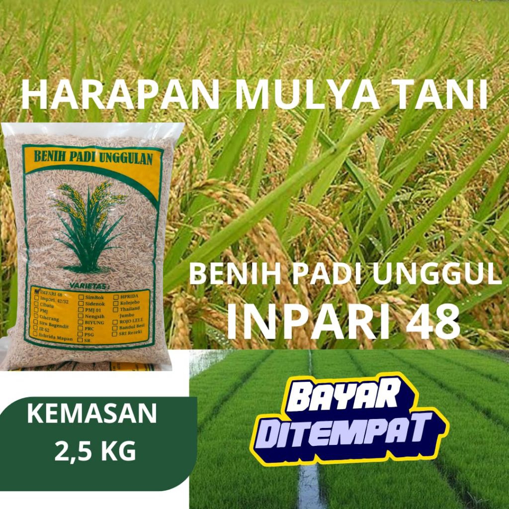 benih padi unggulan berkualitas Inpari 48 kemasan 2,5 KG