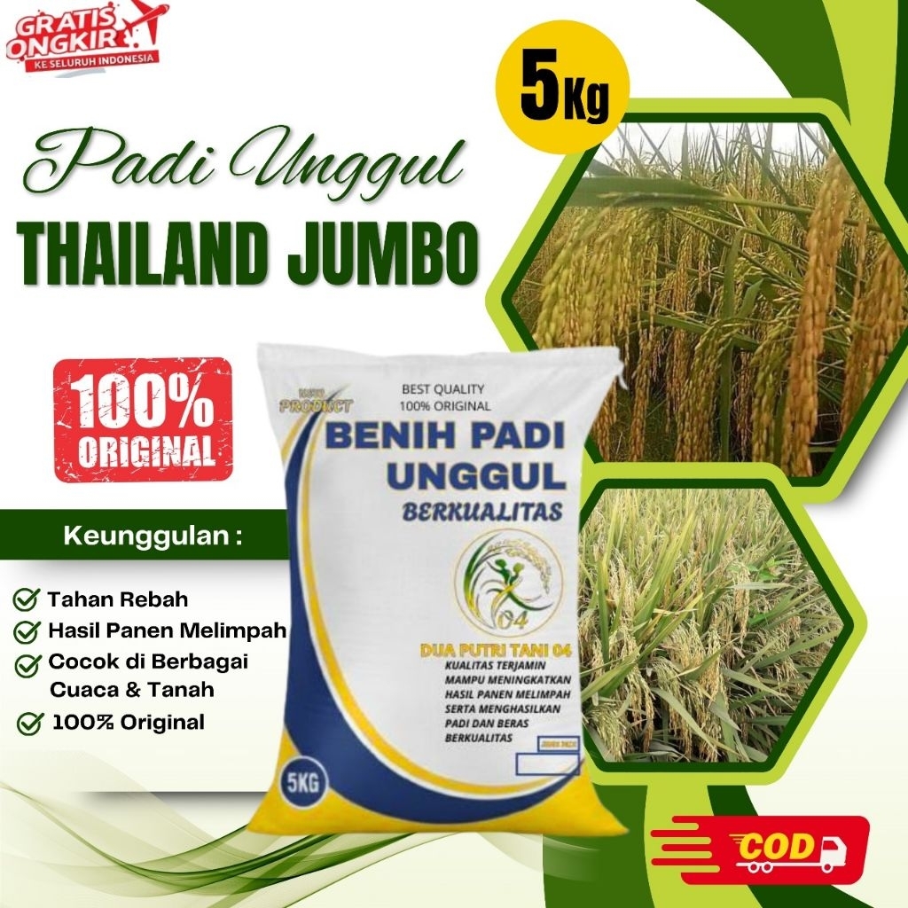 BIBIT PADI THAILAND JUMBO KEMASAN 5KG