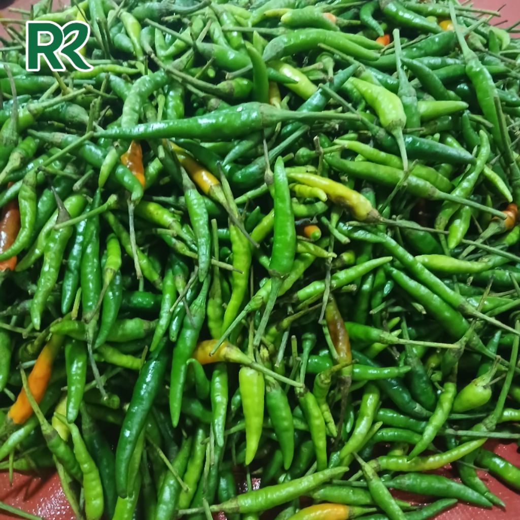 CABE RAWIT HIJAU CENGEK 1KG