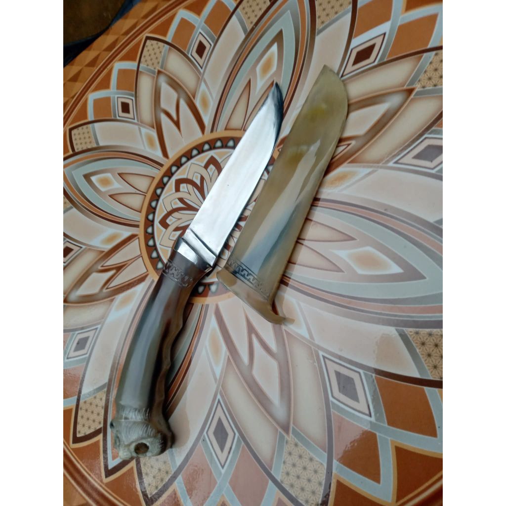 Pisau Serbaguna/ Camping full Tanduk Kerbau Bule