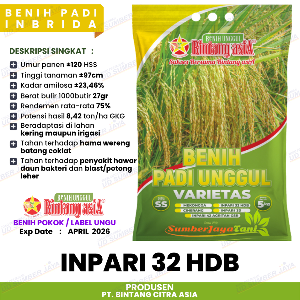 Benih Padi Hibrida Super Unggul Bintang Asia Inpari 32 HDB Tahan Hawar Daun