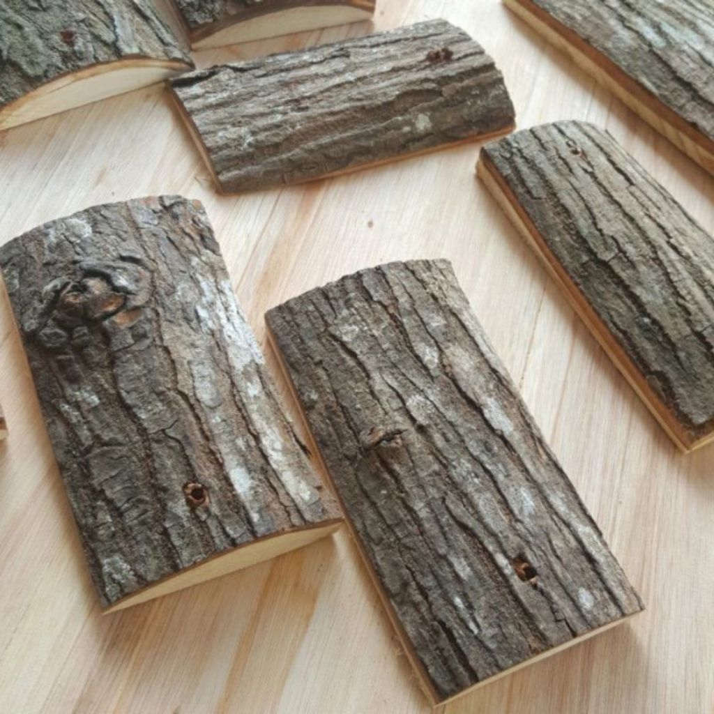 Media Tempel Pohon Anggrek Kayu Mahoni 20x10cm