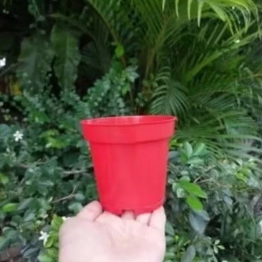 Pot Bunga Murah, Pot Tanaman, Pot 10, Pot Plastik Coklat Merah Bata Ukuran 10