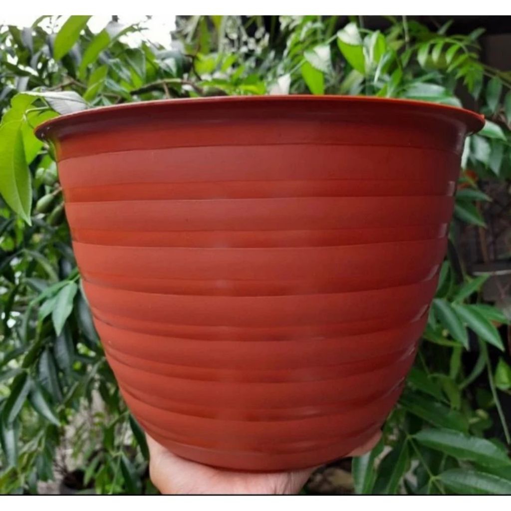 Pot Ruby Tawon 30, Pot Bunga Model Tawon, Diameter 30 cm