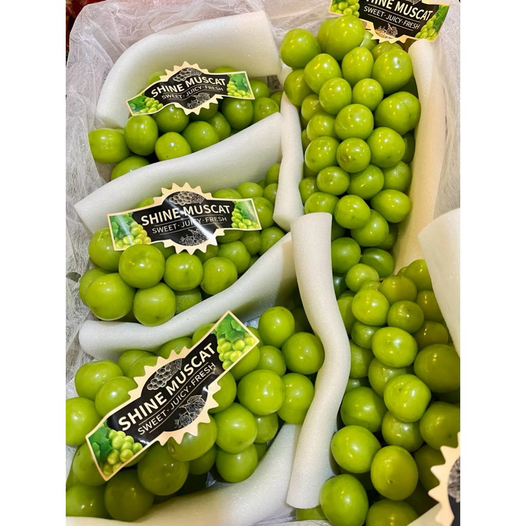 Harga Anggur Muscat 1 KG Terbaru Jul 2026 | BigGo Indonesia