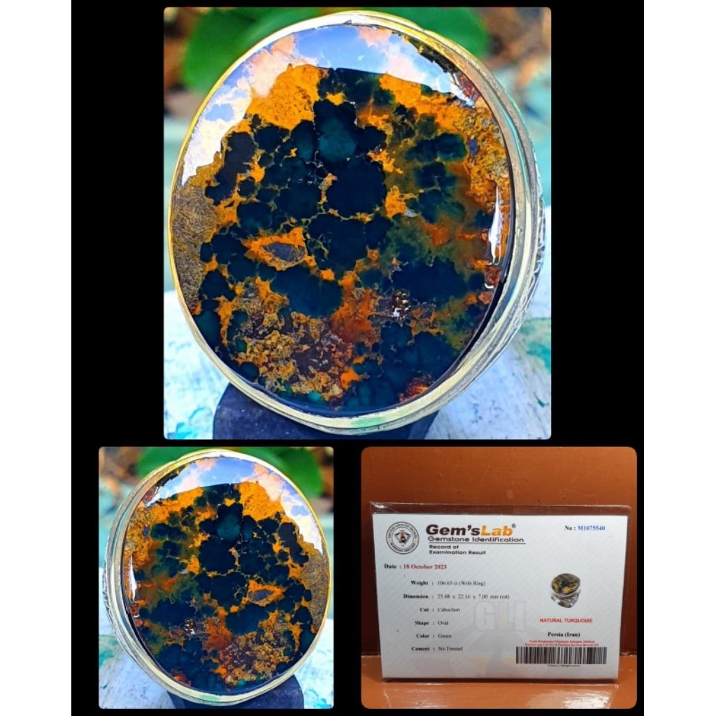 pirus hitam jumbo asli persia urat emas kuno ya.