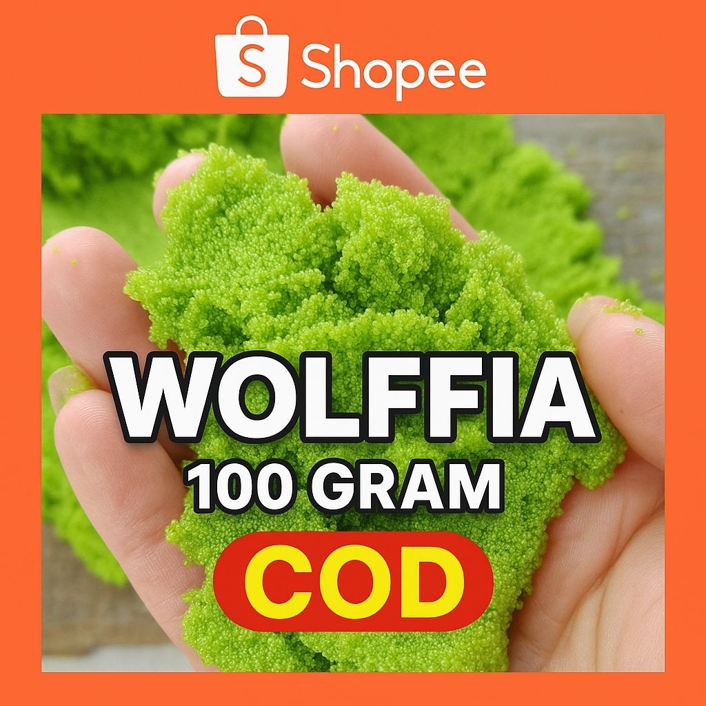 Wolffia Segar 100 Gram Berkualitas Untuk Pakan Ikan Dan Budidaya