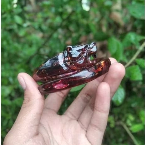 Gelang Pria Akar Bahar Merah Kristal Ukir Macan Asli