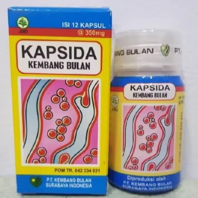 KAPSIDA