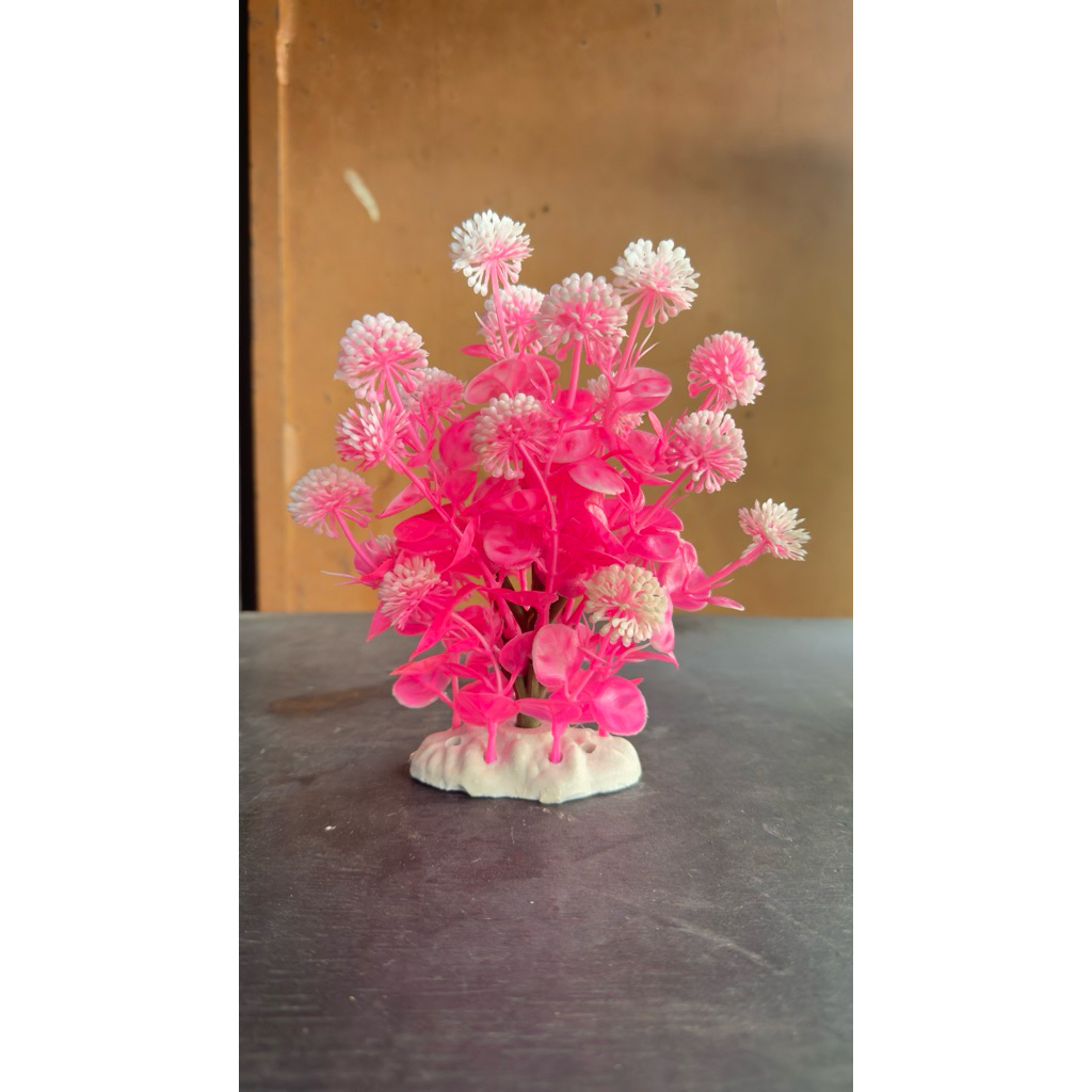 Bonsai Batu Putih / Bunga batu Putih Akuarium / Hiasan Akuarium