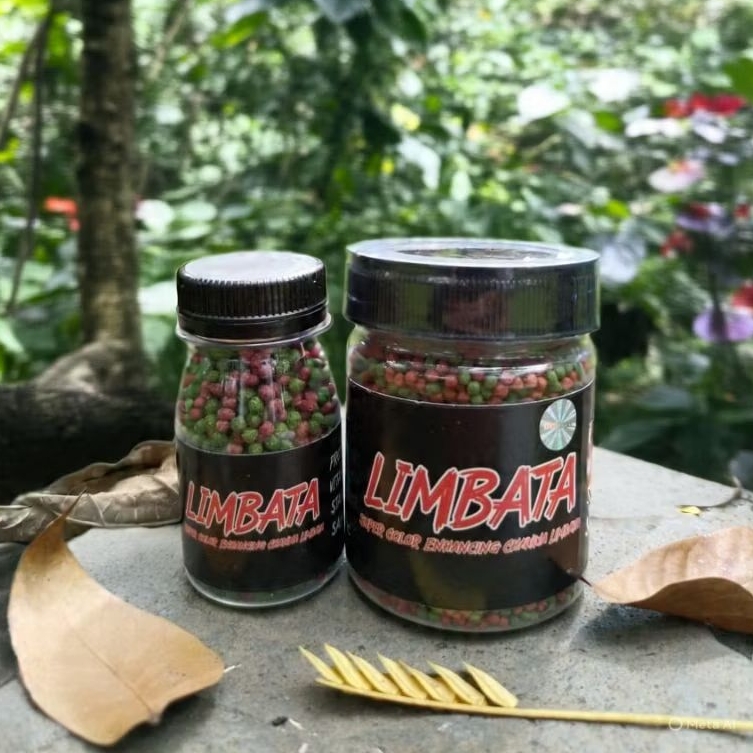 Pelet Limbata Super Color RKFish Aquatic Pakan Channa Limbata