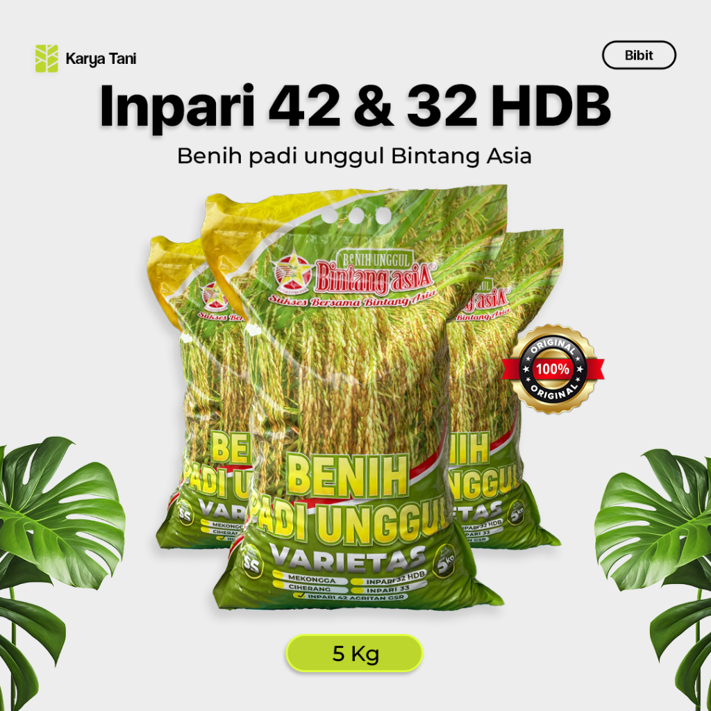 BENIH PADI INPARI 42 INPARI 32 HDB CIHERANG MEKONGGA BINTANG ASIA 5 KG / BENIH PADI UNGGUL VARIETAS 